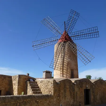 Raims Algaida (Mallorca)