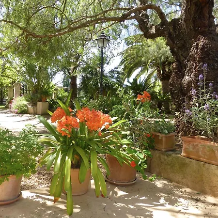Raims 4* Algaida (Mallorca)