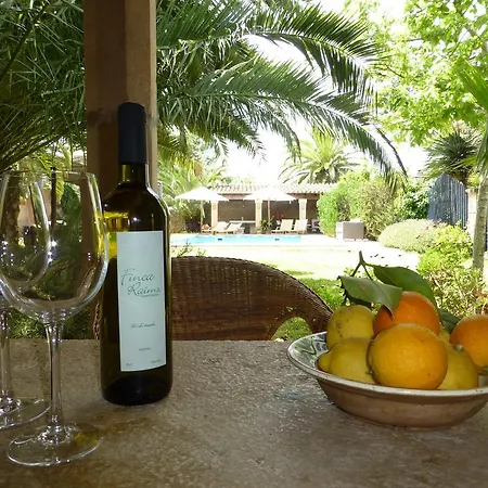 Bed & Breakfast Raims